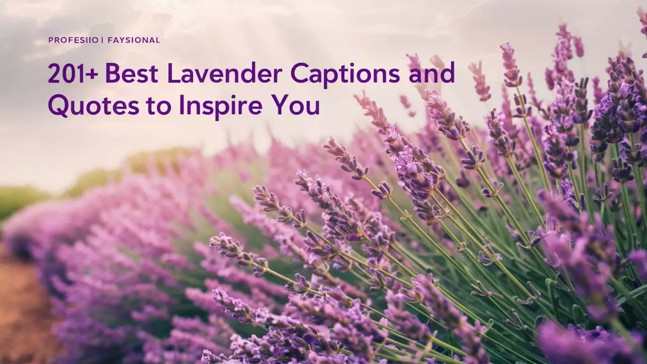 Best Lavender Captions and Quotes